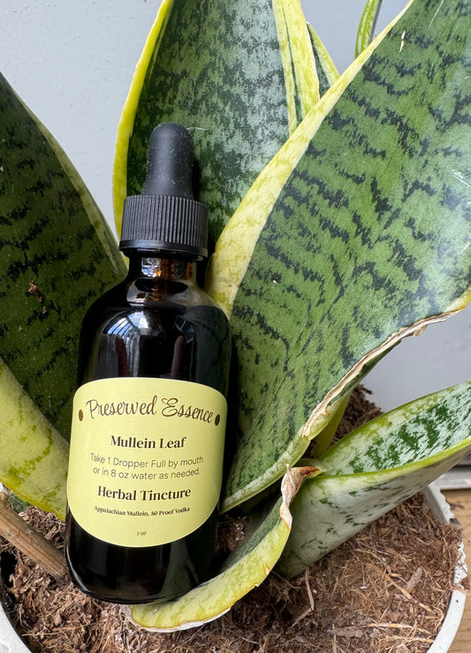 Mullein Tincture